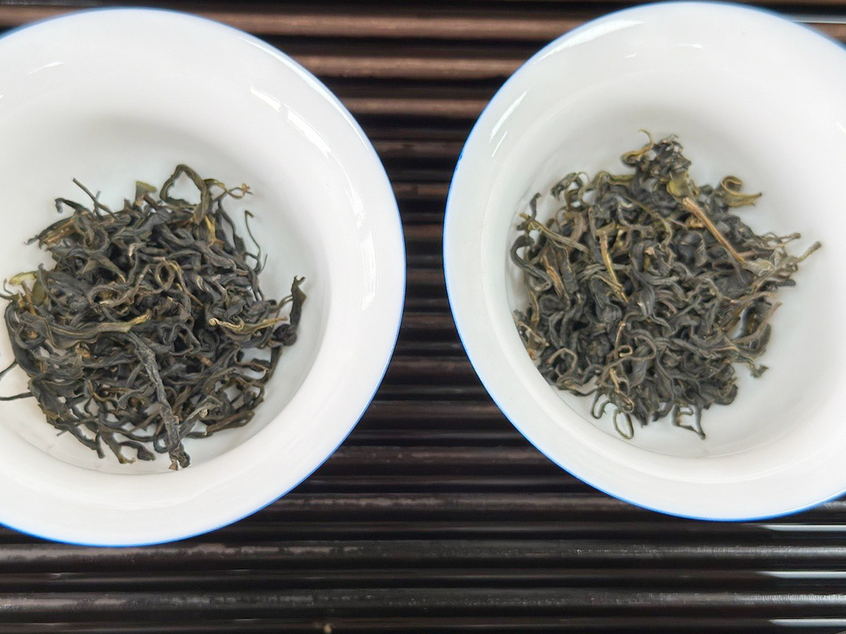 李時(shí)珍和六堡茶-3